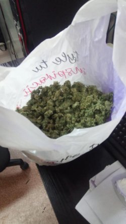 Foliowy worek z zawartością marihuany zabezpieczone przez kryminalnych w trakcie przeszukania.