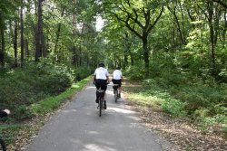 Patrol rowerowy w Puszczy