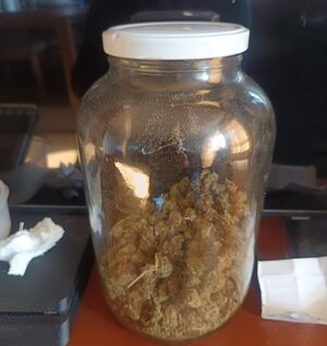 Ujawnione środki odurzające w mieszkaniu 29 latka