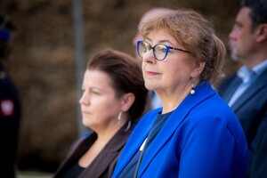 Wicestarosta Wielicki