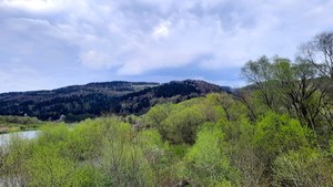 Rezerwując pobyt na majówkę uważaj na oszustów