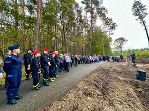 Akcja Łączą nas drzewa w nadleśnictwie Niepołomice