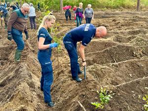 Akcja Łączą nas drzewa w nadleśnictwie Niepołomice