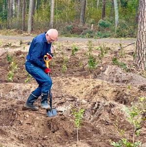 Akcja Łączą nas drzewa w nadleśnictwie Niepołomice